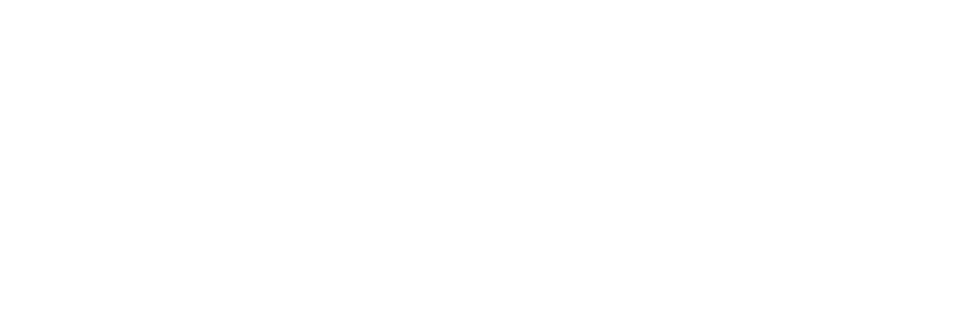 5 Star Experience